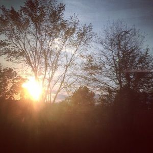 Meet your Posher, Angelique